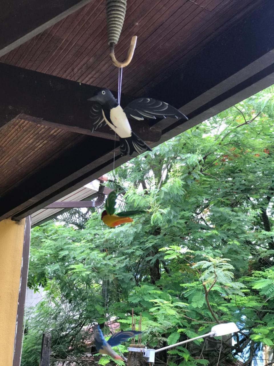 Buganville Loft Vila do Abraao Bagian luar foto